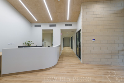 July 2021 / TREE-TOP_063