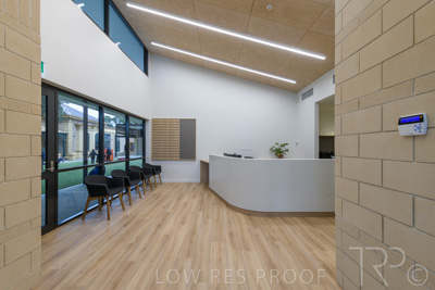 July 2021 / TREE-TOP_066