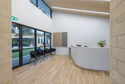 July 2021 / TREE-TOP_068