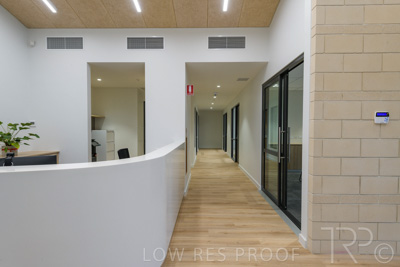 July 2021 / TREE-TOP_071