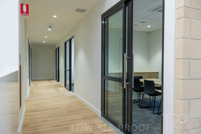 July 2021 / TREE-TOP_074