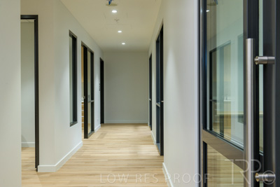 July 2021 / TREE-TOP_078