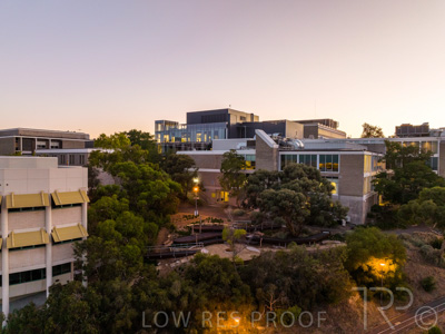 March 2022 / Yunggorendi-220302-001