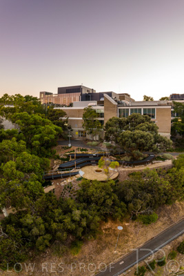 March 2022 / Yunggorendi-220302-002