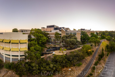 March 2022 / Yunggorendi-220302-003