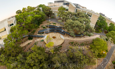 March 2022 / Yunggorendi-220302-006