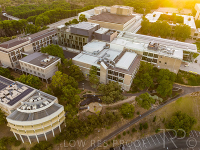 March 2022 / Yunggorendi-220302-012