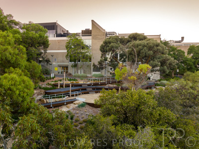 March 2022 / Yunggorendi-220302-016