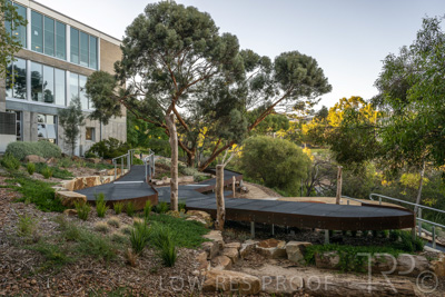 March 2022 / Yunggorendi-220302-035