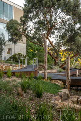 March 2022 / Yunggorendi-220302-036