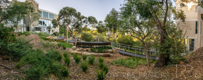 March 2022 / Yunggorendi-220302-038