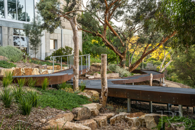 March 2022 / Yunggorendi-220302-042