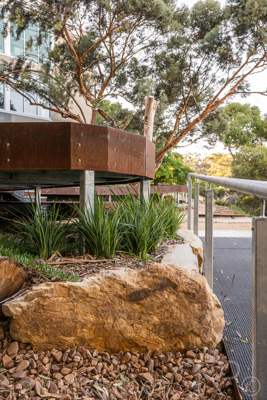 March 2022 / Yunggorendi-220302-044