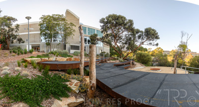 March 2022 / Yunggorendi-220302-048