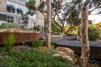 March 2022 / Yunggorendi-220302-049