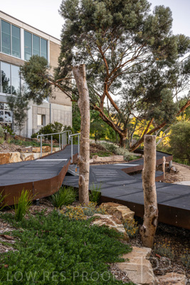 March 2022 / Yunggorendi-220302-050