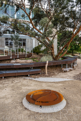 March 2022 / Yunggorendi-220302-060