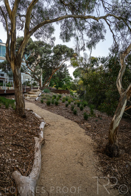 March 2022 / Yunggorendi-220302-063