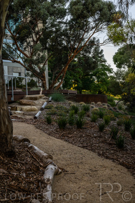 March 2022 / Yunggorendi-220302-064