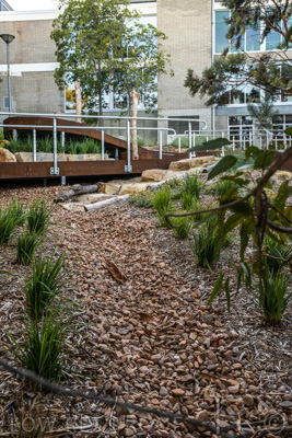 March 2022 / Yunggorendi-220302-066