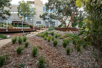 March 2022 / Yunggorendi-220302-067