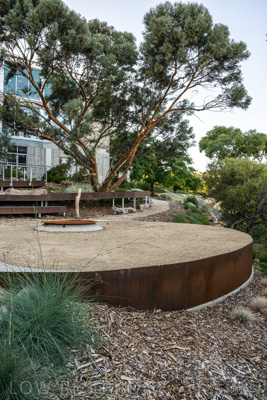 March 2022 / Yunggorendi-220302-068