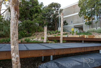 March 2022 / Yunggorendi-220302-075