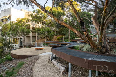 March 2022 / Yunggorendi-220302-077