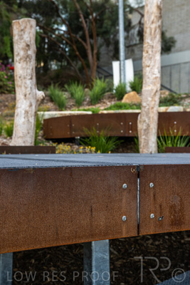 March 2022 / Yunggorendi-220302-080