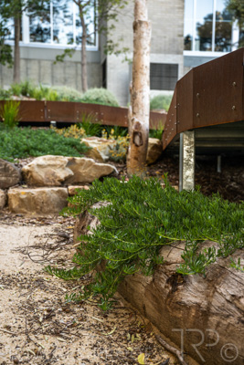 March 2022 / Yunggorendi-220302-081