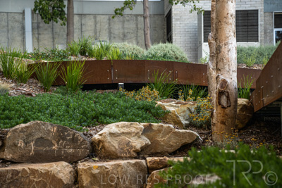 March 2022 / Yunggorendi-220302-083