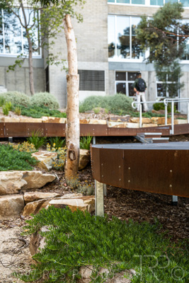 March 2022 / Yunggorendi-220302-084