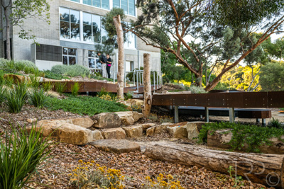 March 2022 / Yunggorendi-220302-085