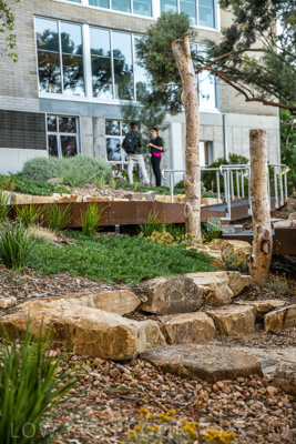 March 2022 / Yunggorendi-220302-086