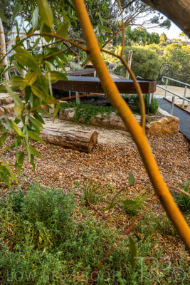 March 2022 / Yunggorendi-220302-088