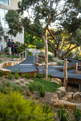 March 2022 / Yunggorendi-220302-091