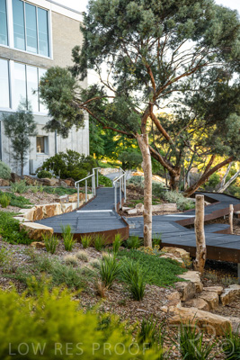 March 2022 / Yunggorendi-220302-092