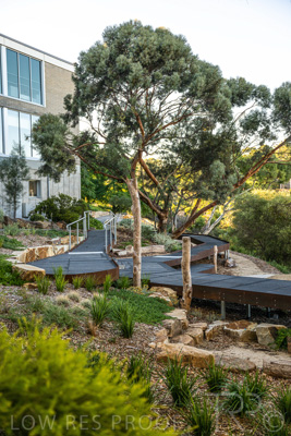 March 2022 / Yunggorendi-220302-093