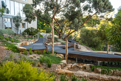 March 2022 / Yunggorendi-220302-094