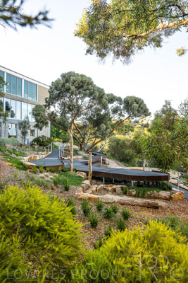 March 2022 / Yunggorendi-220302-098