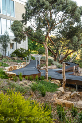 March 2022 / Yunggorendi-220302-099