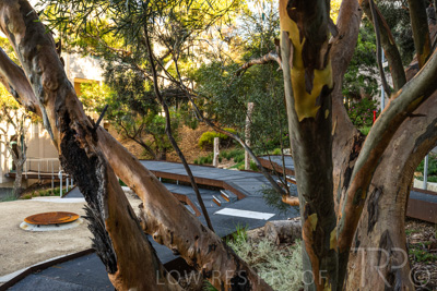 March 2022 / Yunggorendi-220302-102