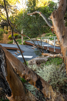 March 2022 / Yunggorendi-220302-103