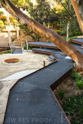 March 2022 / Yunggorendi-220302-105