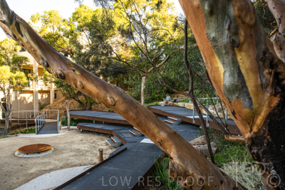 March 2022 / Yunggorendi-220302-106