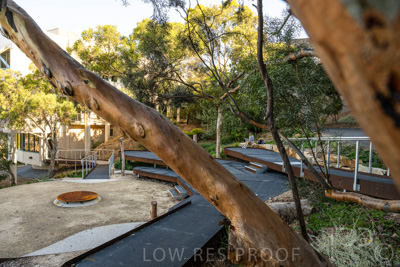 March 2022 / Yunggorendi-220302-107