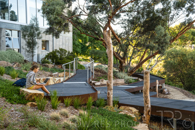 March 2022 / Yunggorendi-220302-117