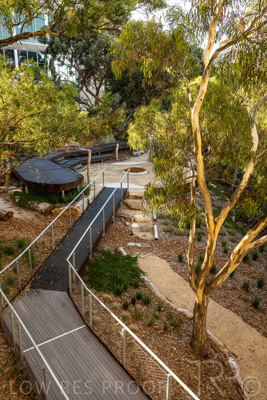 March 2022 / Yunggorendi-220302-118