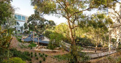 March 2022 / Yunggorendi-220302-120