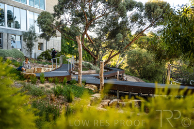 March 2022 / Yunggorendi-220302-124